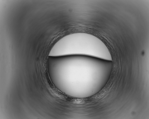 X0000100470088200806130804