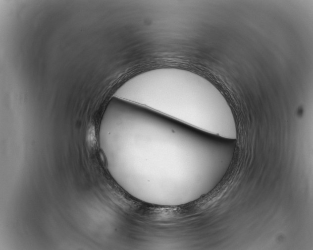 X0000100470089200806130804