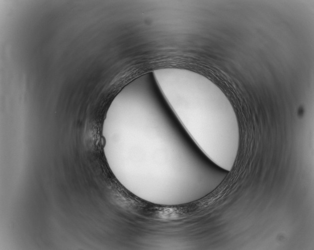 X0000100470091200806130804