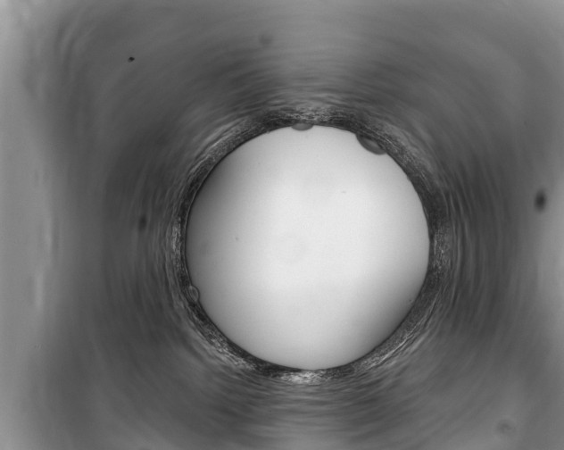 X0000100470092200806130804
