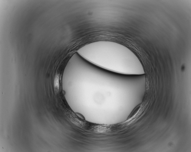 X0000100470094200806130804