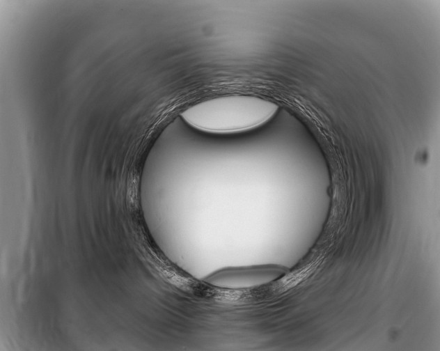 X0000100470096200806130804