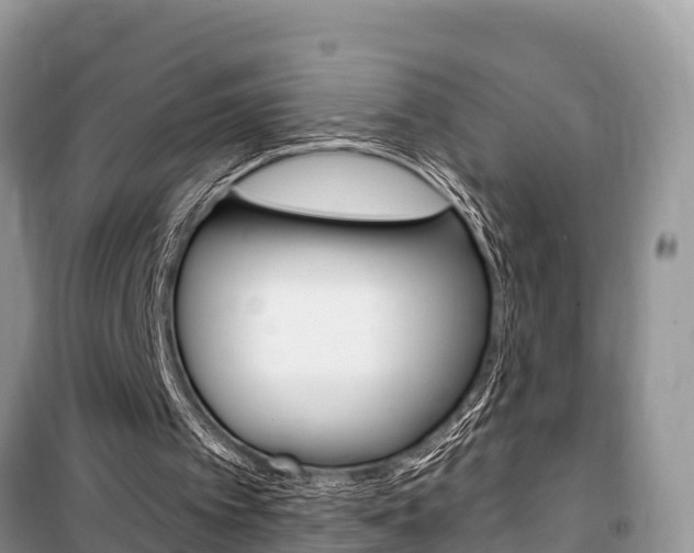 X0000100470097200806130804