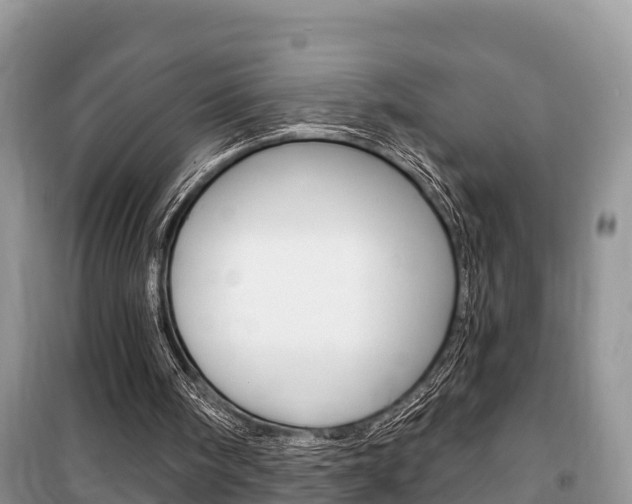 X0000100470098200806130804