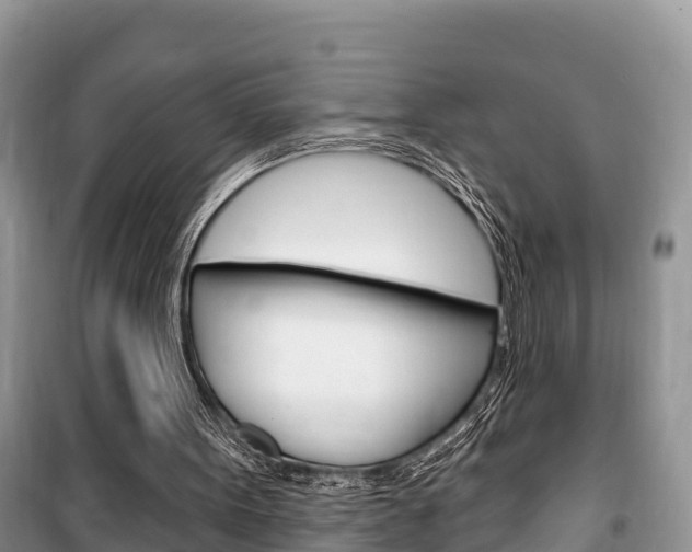 X0000100470099200806130804