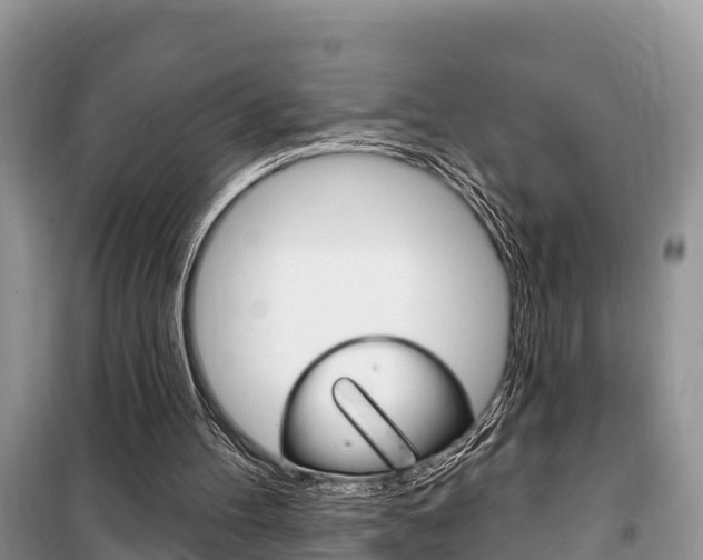 X0000100470100200806130804