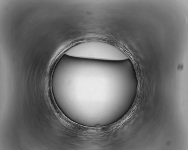X0000100470101200806130804
