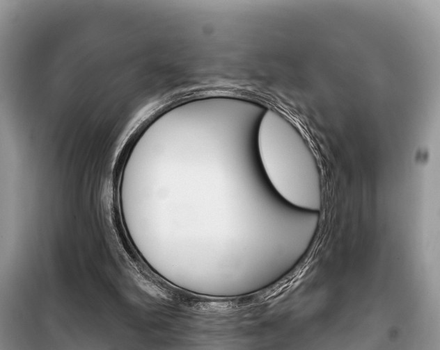 X0000100470102200806130804