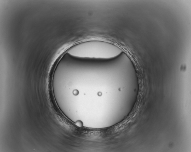 X0000100470104200806130804