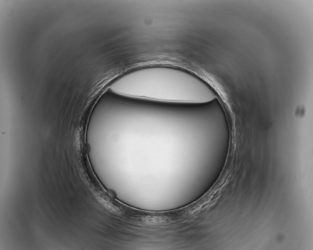 X0000100470105200806130804