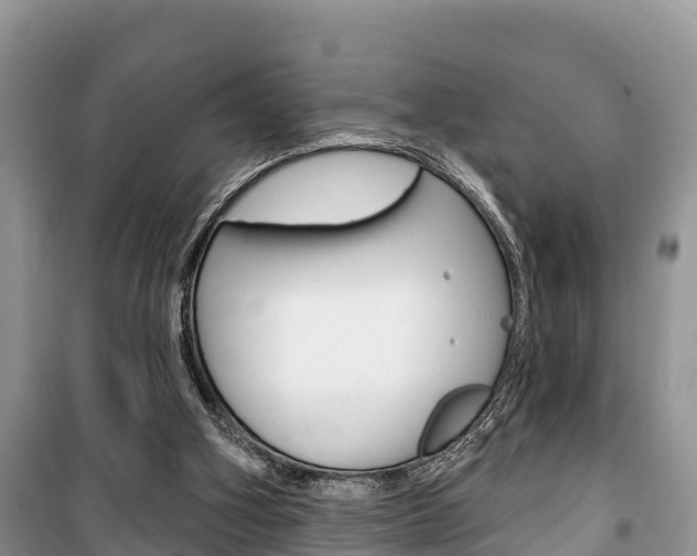 X0000100470106200806130804