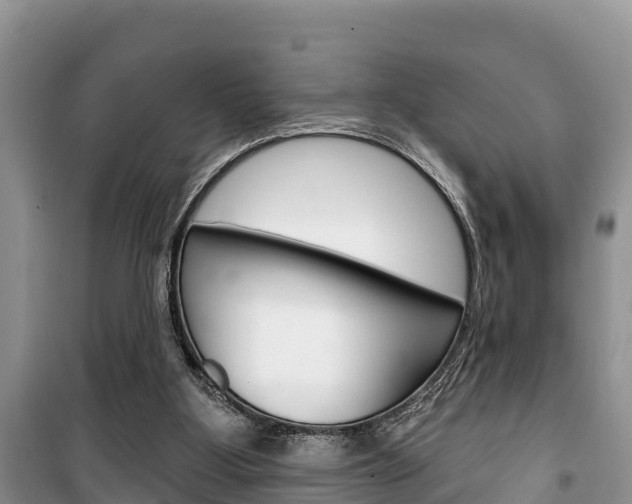 X0000100470107200806130804