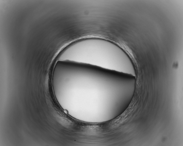 X0000100470108200806130804