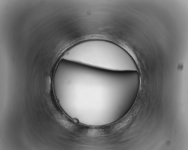 X0000100470109200806130804