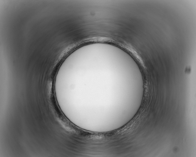 X0000100470110200806130804