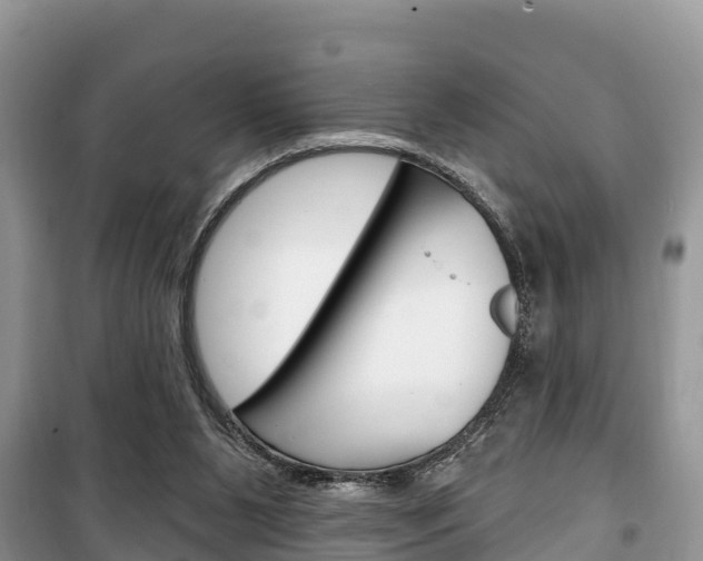 X0000100470111200806130804