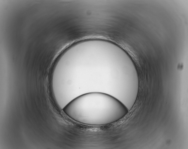 X0000100470112200806130804