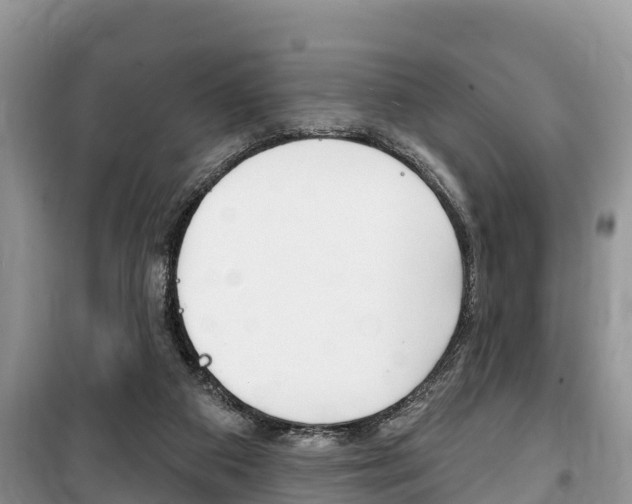 X0000100470113200806130804
