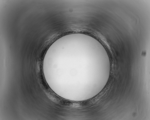 X0000100470114200806130804