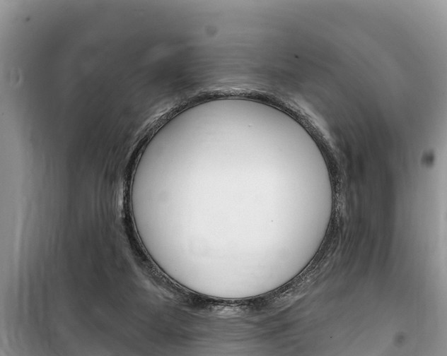 X0000100470115200806130804