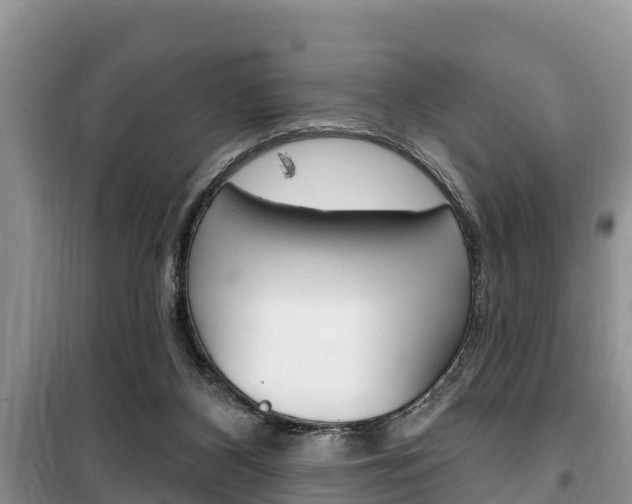 X0000100470116200806130804