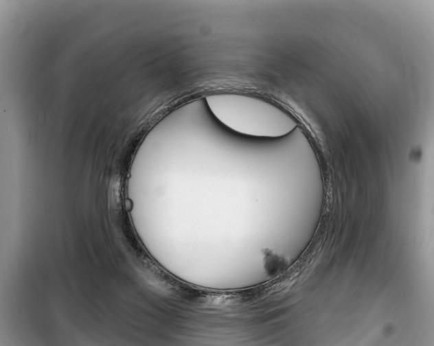 X0000100470117200806130804