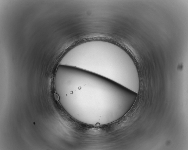 X0000100470119200806130804
