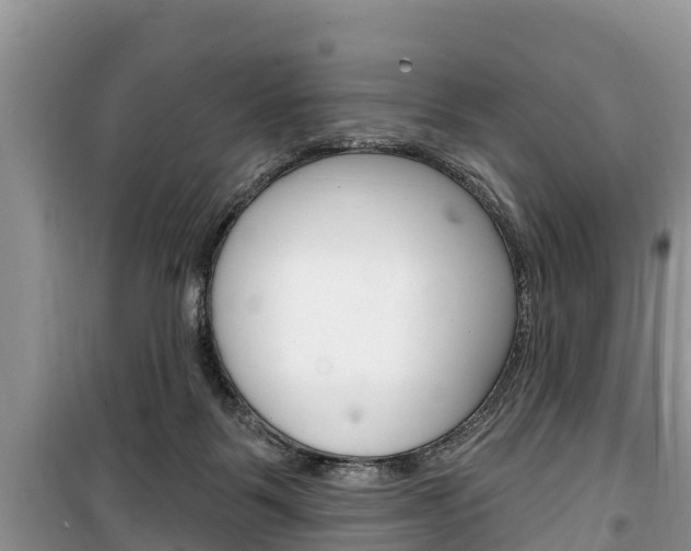 X0000100470123200806130803