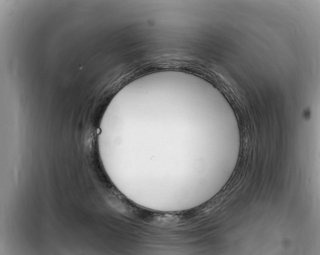 X0000100470125200806130803