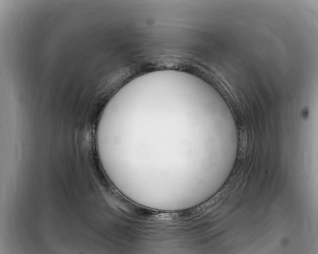 X0000100470126200806130803