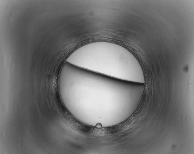 X0000100470127200806130803