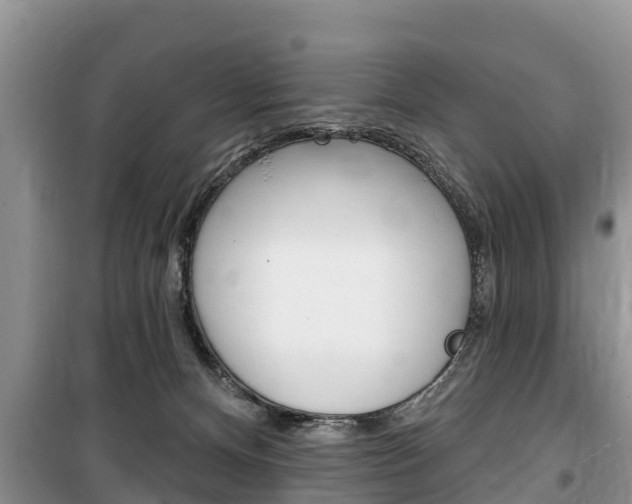 X0000100470128200806130803