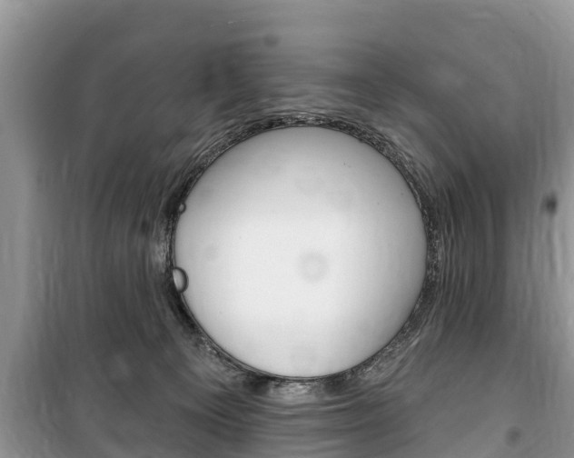 X0000100470129200806130803