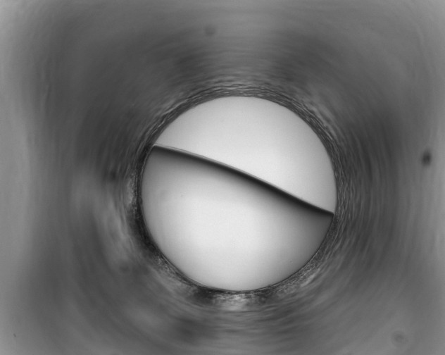 X0000100470131200806130803