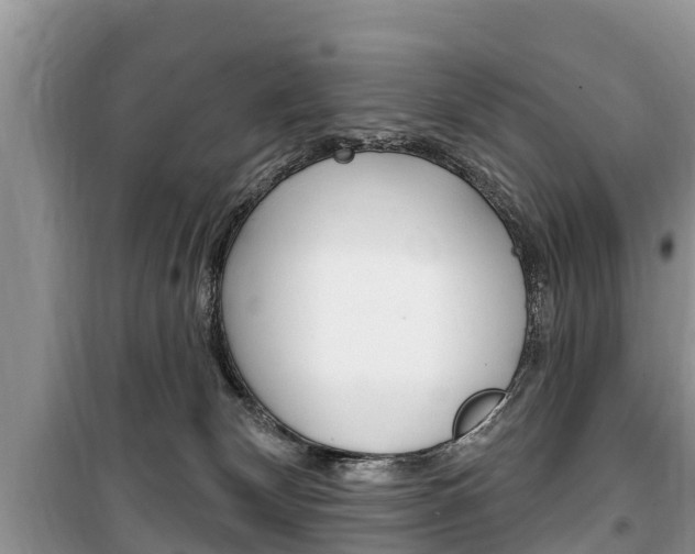 X0000100470132200806130803