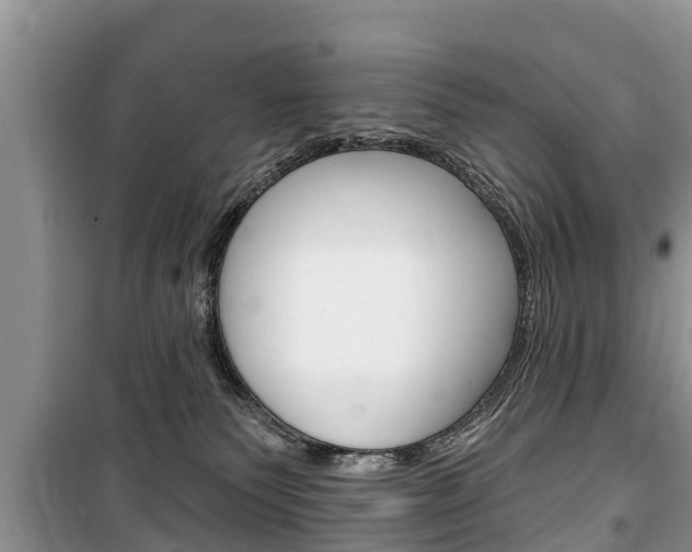 X0000100470135200806130803