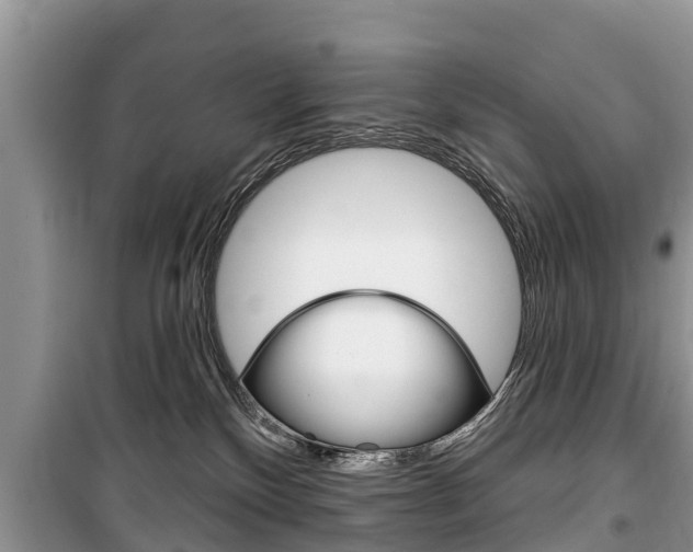 X0000100470136200806130803