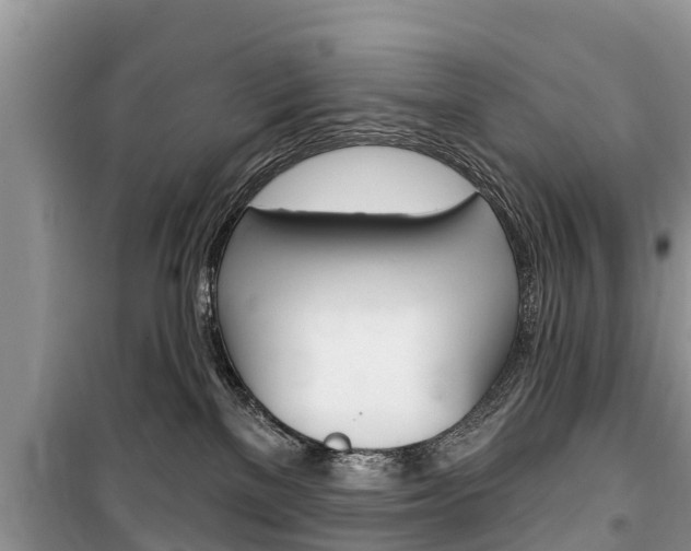 X0000100470137200806130803