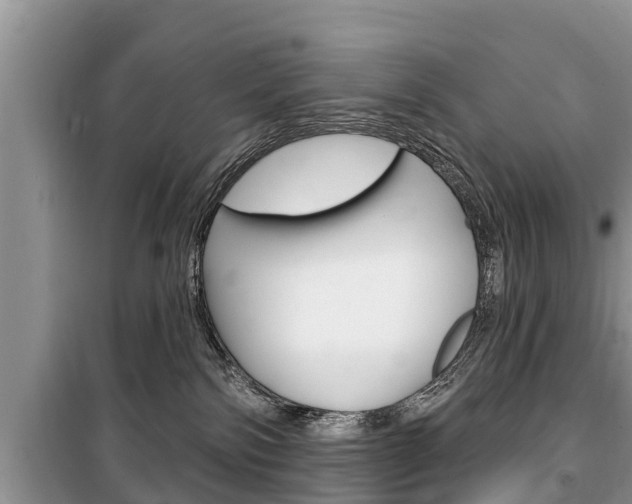 X0000100470138200806130803