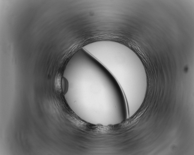 X0000100470143200806130803