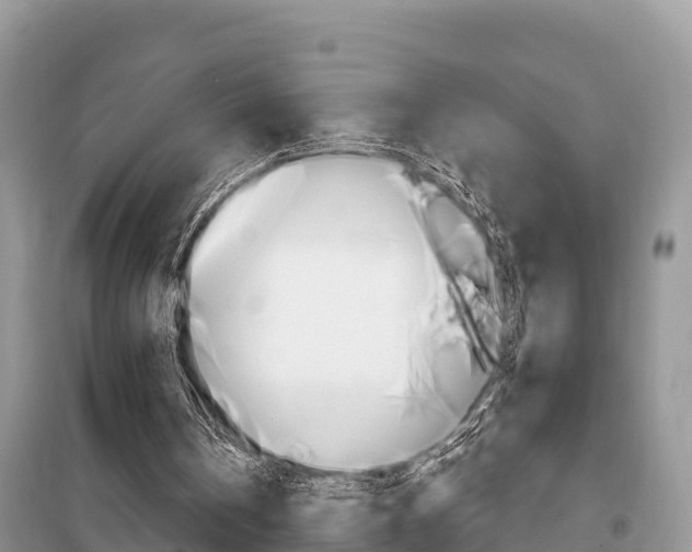 X0000100470146200806130802