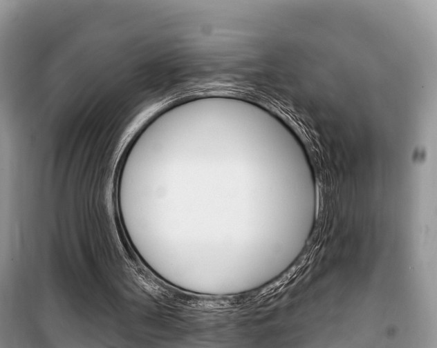 X0000100470147200806130802