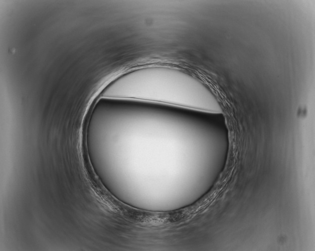 X0000100470148200806130802
