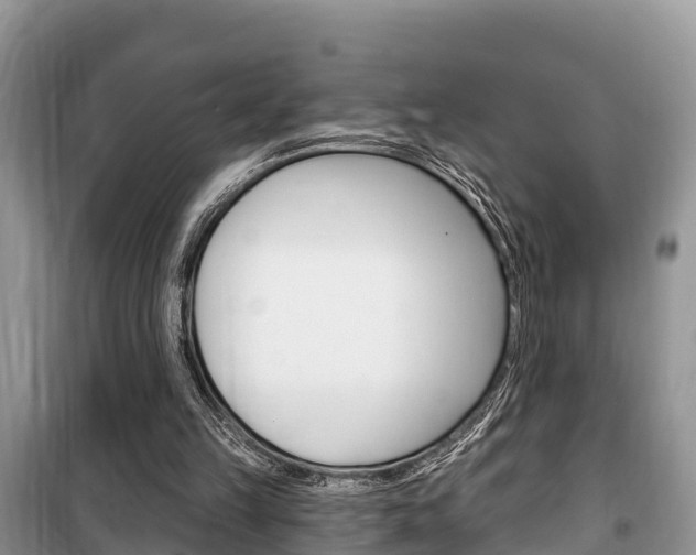 X0000100470149200806130802