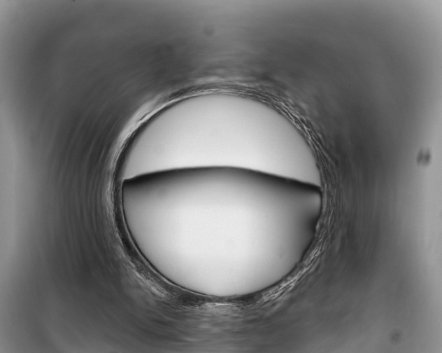X0000100470150200806130802