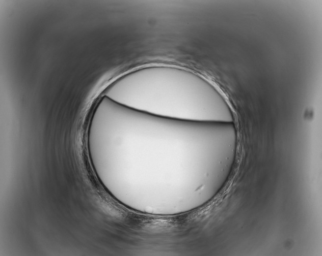 X0000100470151200806130802