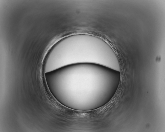 X0000100470152200806130802