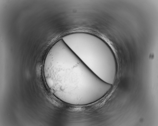 X0000100470153200806130802