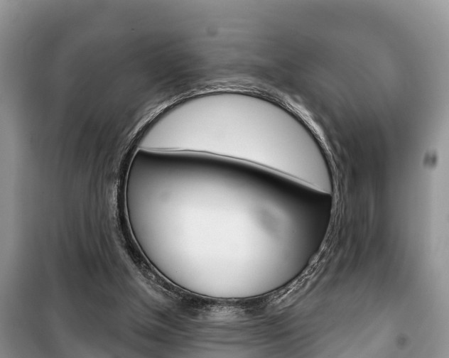 X0000100470154200806130802