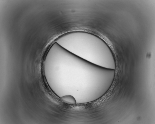 X0000100470155200806130802